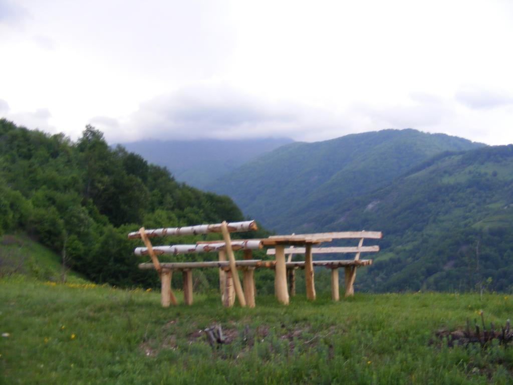 Hotel Domogled Байле Херкулане Екстериор снимка